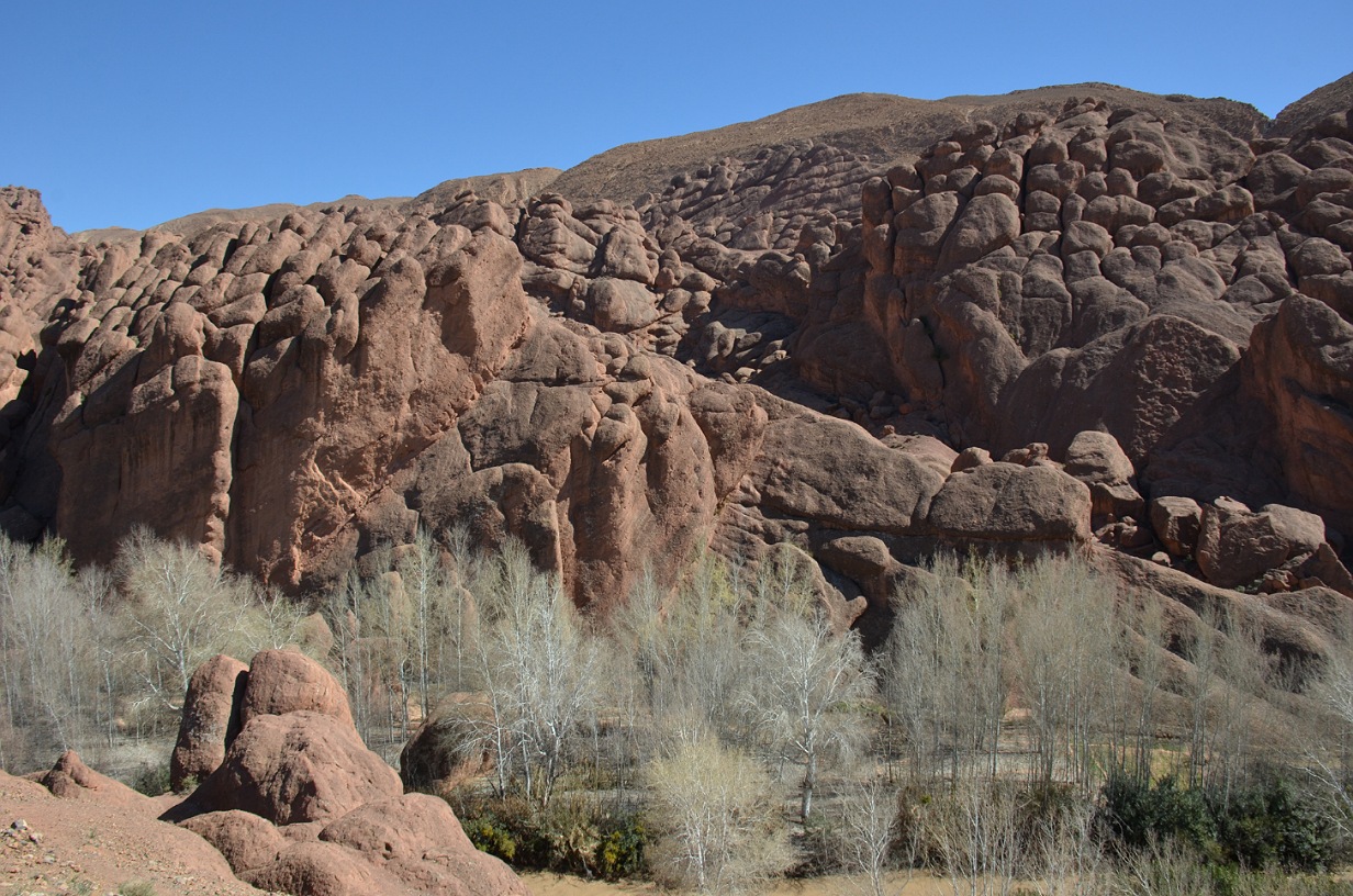 Dades.jpg
