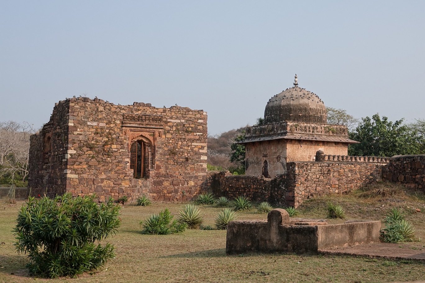 Ranthambore5.jpg