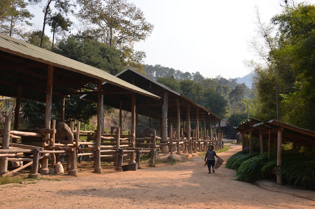 Thailand - Chiang Mai 4.jpg