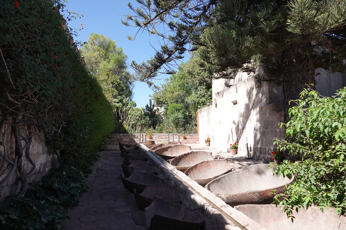Arequipa6.jpg