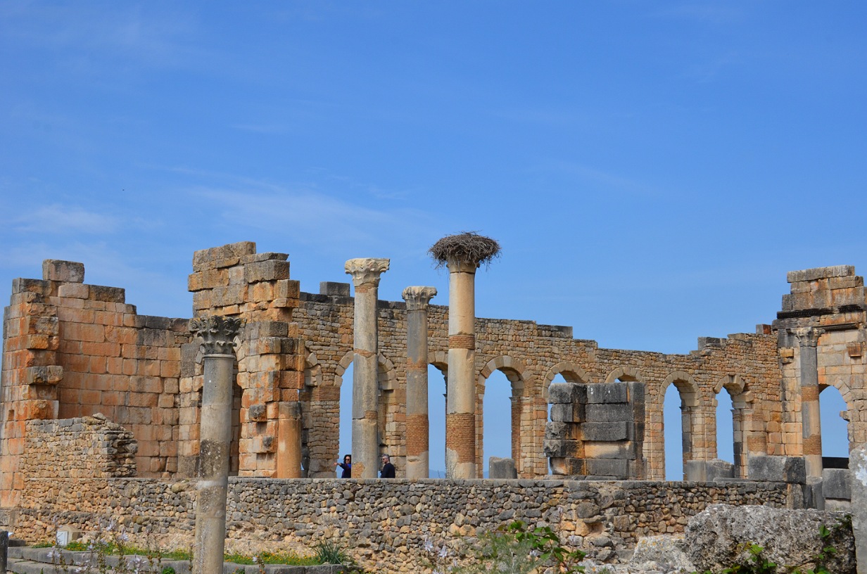 Volubilis.jpg