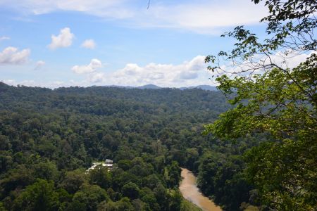Danum Valley4.jpg