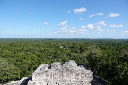 Calakmul2.jpg