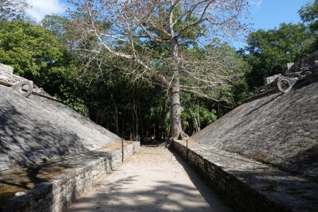Cobá2.jpg