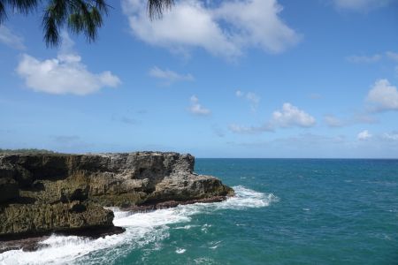 Barbados4.jpg