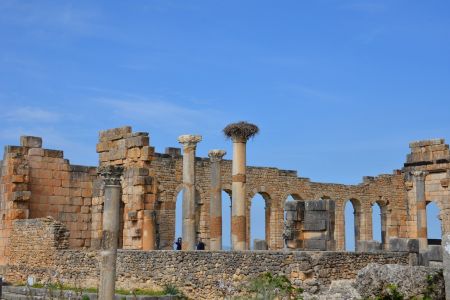 Volubilis.jpg