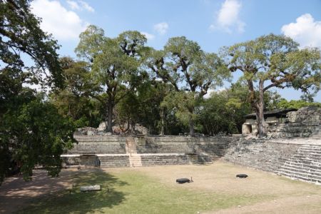 Copan7.jpg