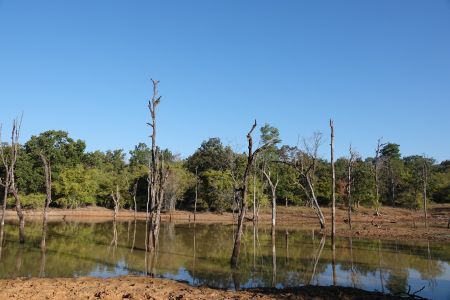Bandhavgarh6.jpg