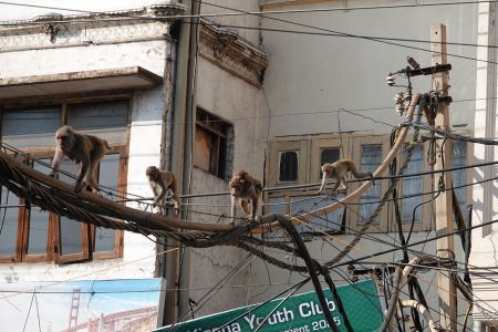 Delhi6.jpg